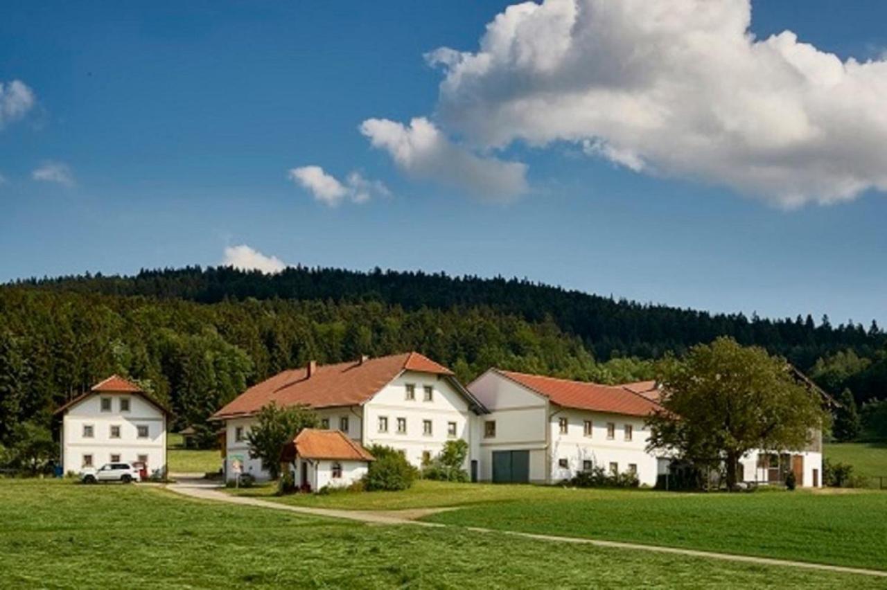 Ferienwohnung Der Breinhof - Euer Urlaubsbauernhof Waldkirchen Exterior foto