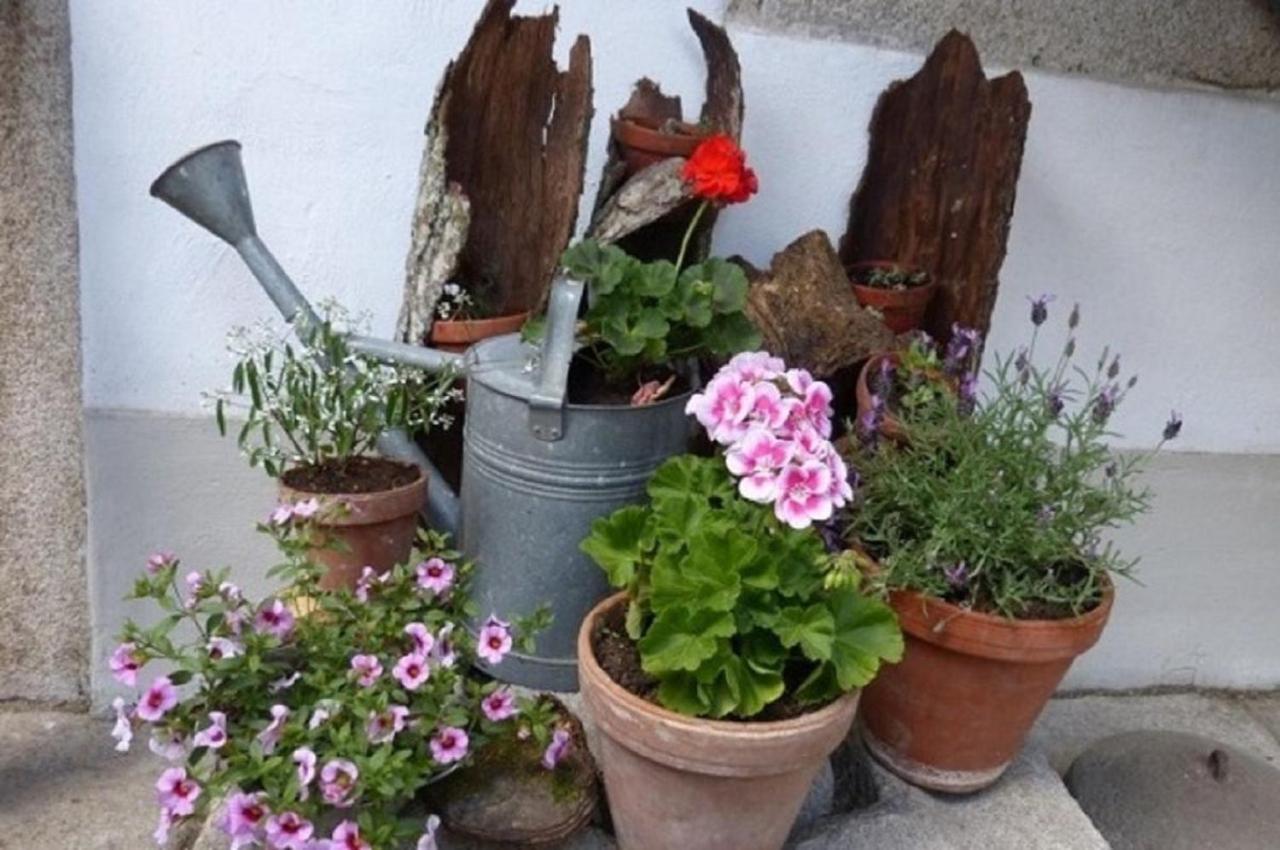 Ferienwohnung Der Breinhof - Euer Urlaubsbauernhof Waldkirchen Exterior foto